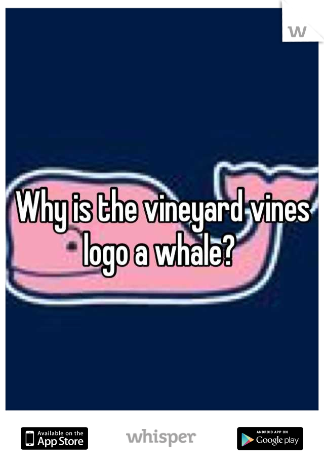 Why is the vineyard vines logo a whale? 
