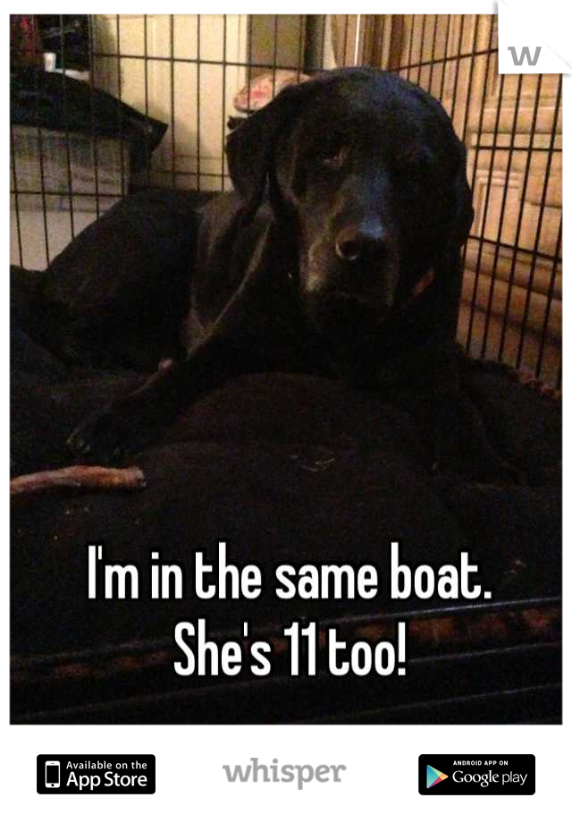 I'm in the same boat. 
She's 11 too!