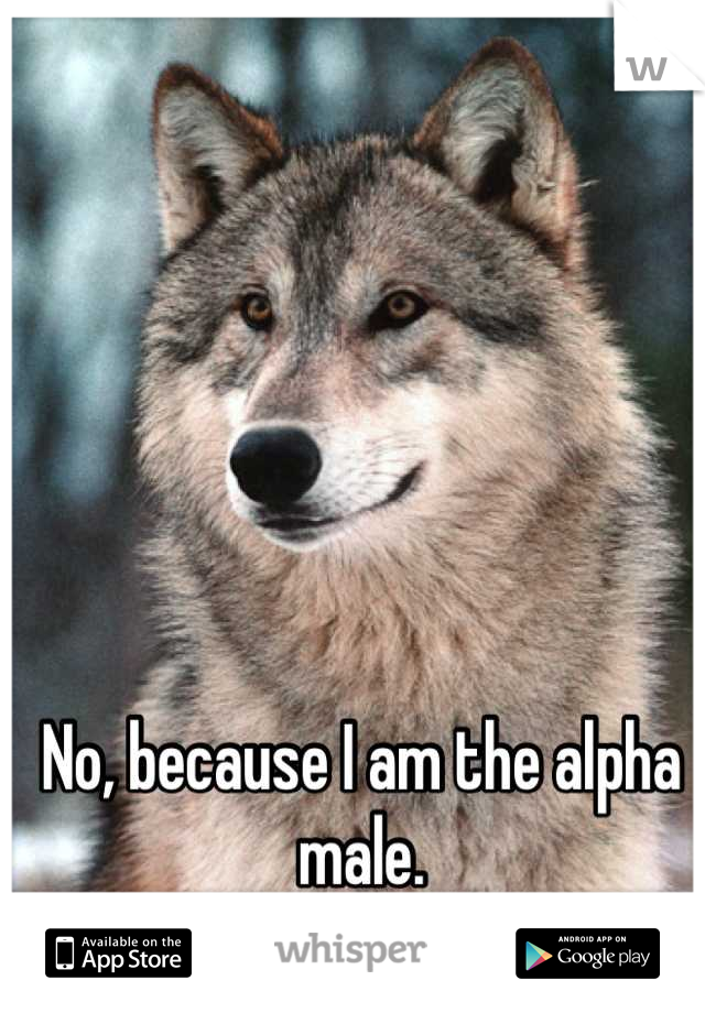 No, because I am the alpha male.