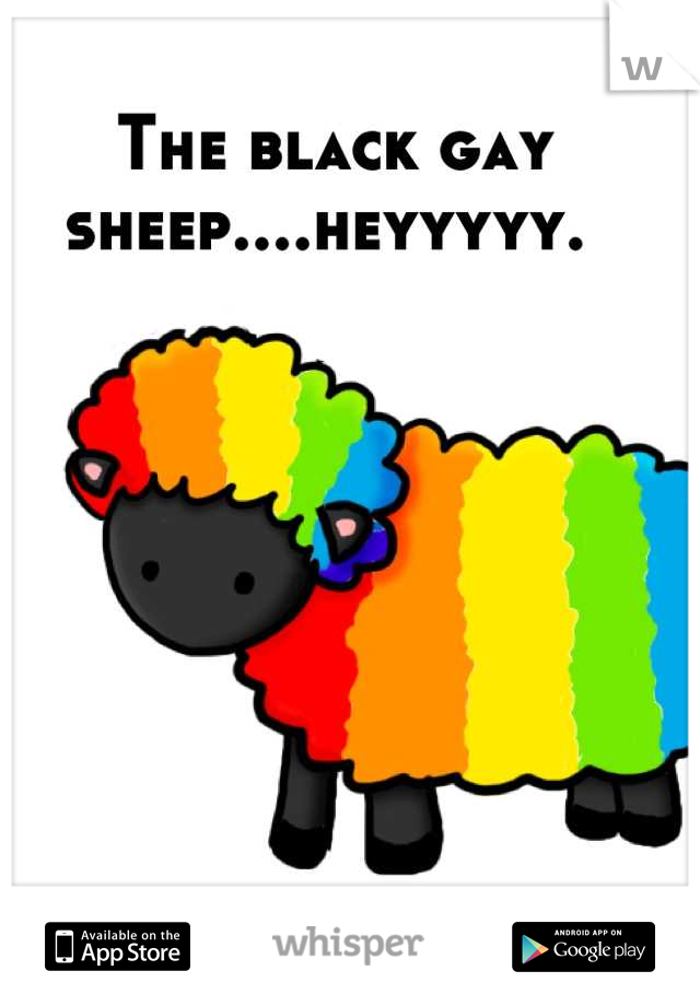 The black gay sheep....heyyyyy. 