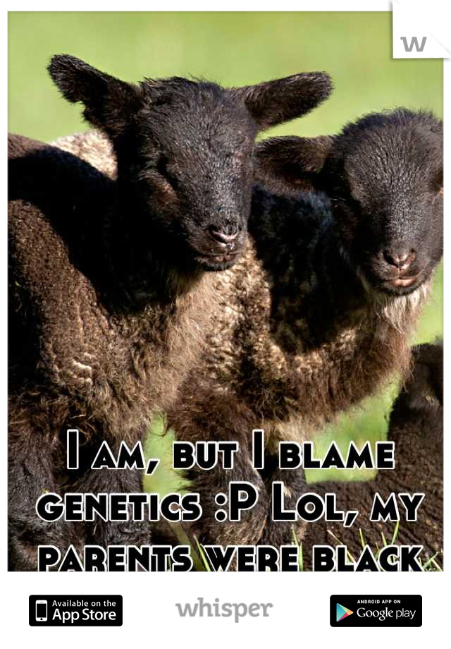 I am, but I blame genetics :P Lol, my parents were black sheep too.