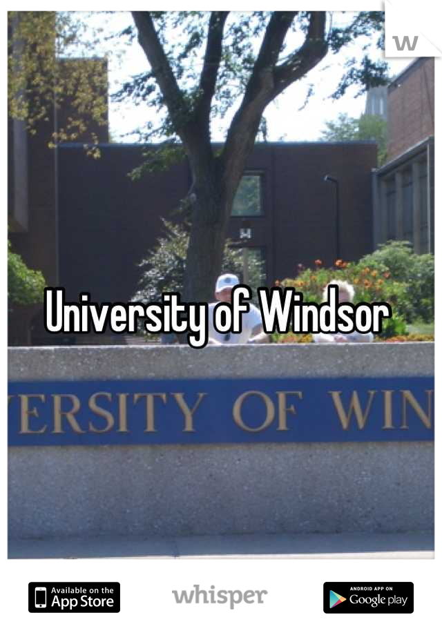University of Windsor 