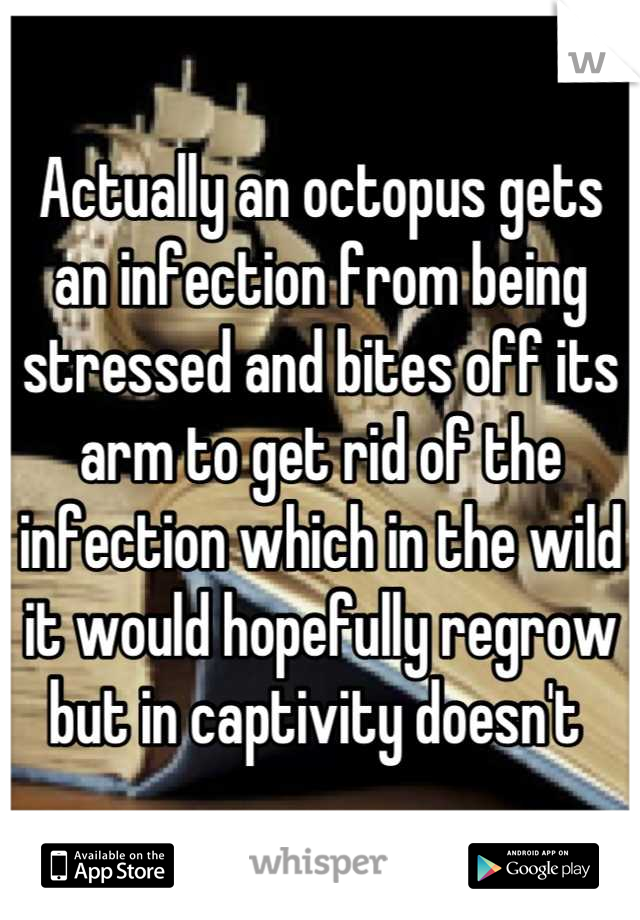 Actually an octopus gets an infection from being stressed and bites off its arm to get rid of the infection which in the wild it would hopefully regrow but in captivity doesn't 