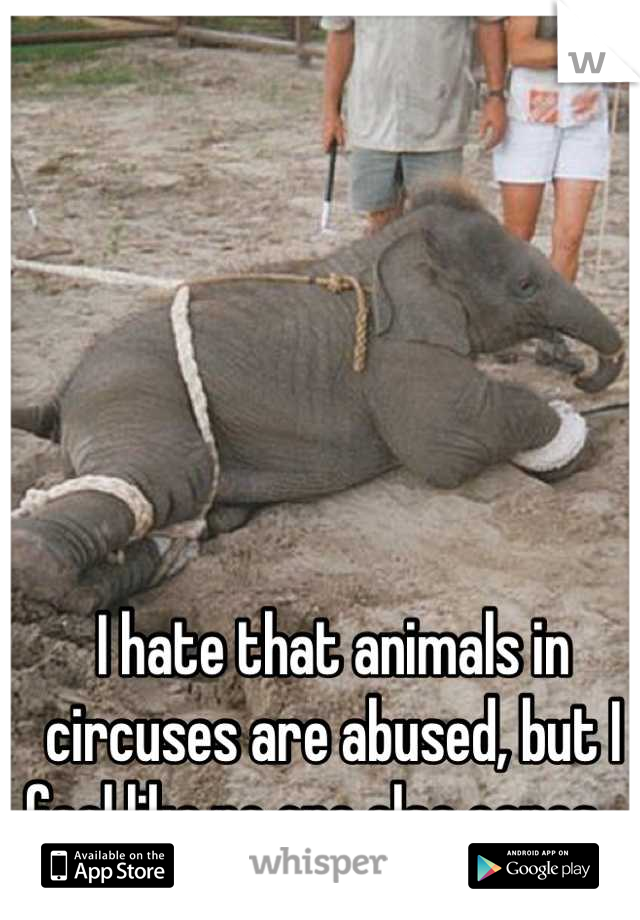 I hate that animals in circuses are abused, but I feel like no one else cares... 