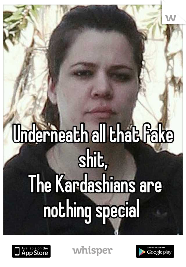 Underneath all that fake shit, 
 The Kardashians are nothing special 