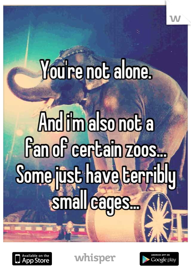 You're not alone.

And i'm also not a
fan of certain zoos...
Some just have terribly
small cages...