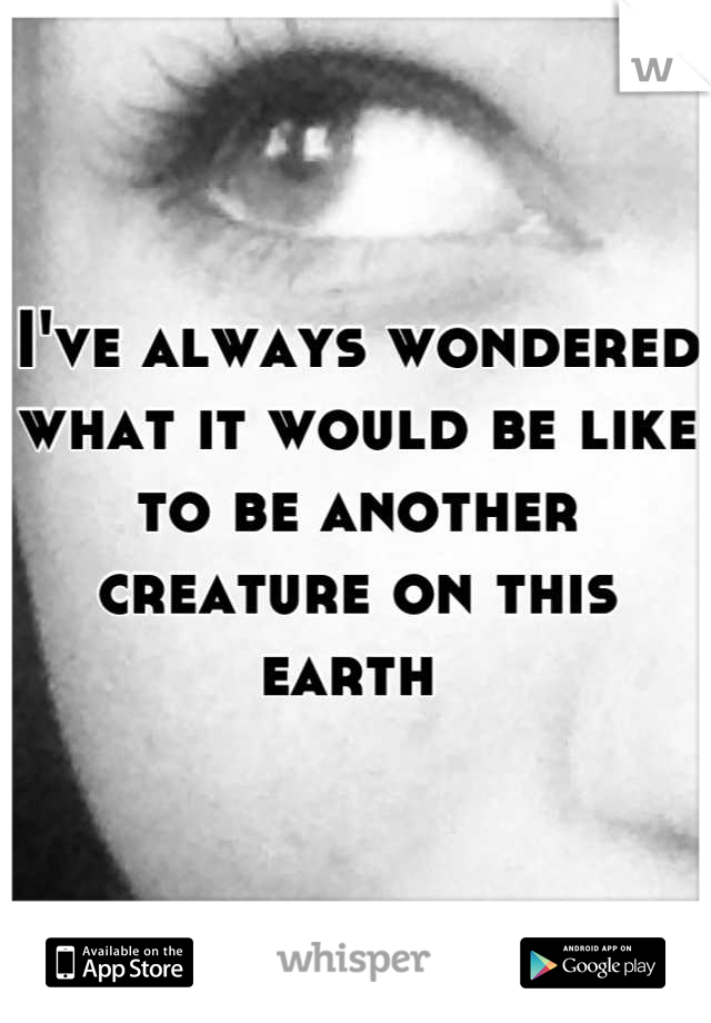 I've always wondered what it would be like to be another creature on this earth 