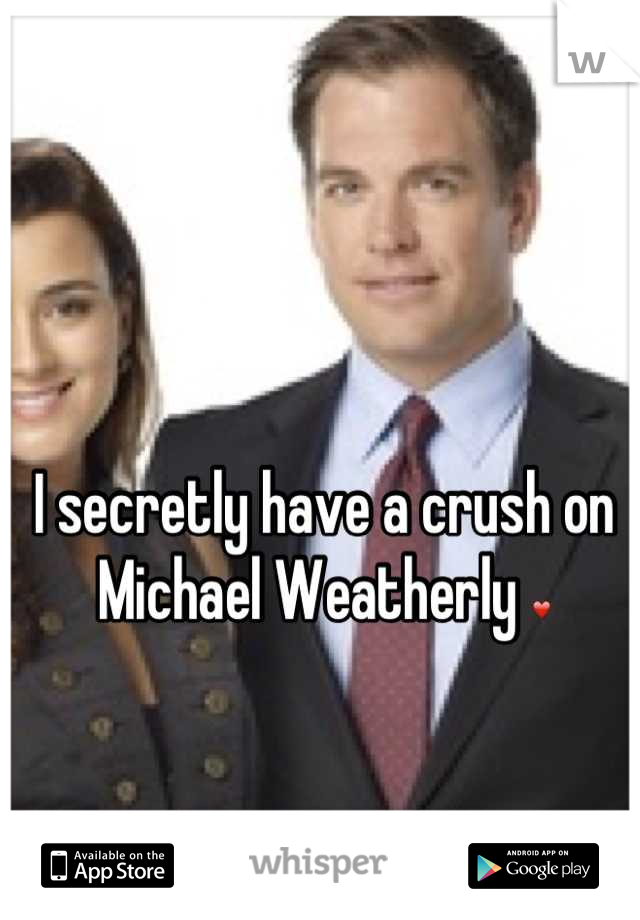 I secretly have a crush on 
Michael Weatherly ❤