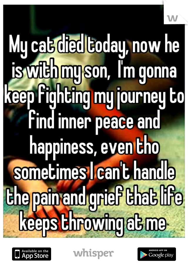 My cat died today, now he is with my son,  I'm gonna keep fighting my journey to find inner peace and happiness, even tho sometimes I can't handle the pain and grief that life keeps throwing at me 