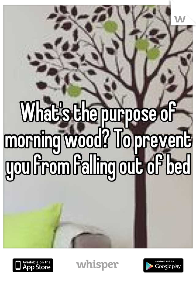 What's the purpose of morning wood? To prevent you from falling out of bed