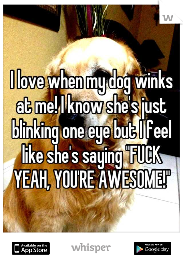 I love when my dog winks at me! I know she's just blinking one eye but I feel like she's saying "FUCK YEAH, YOU'RE AWESOME!"