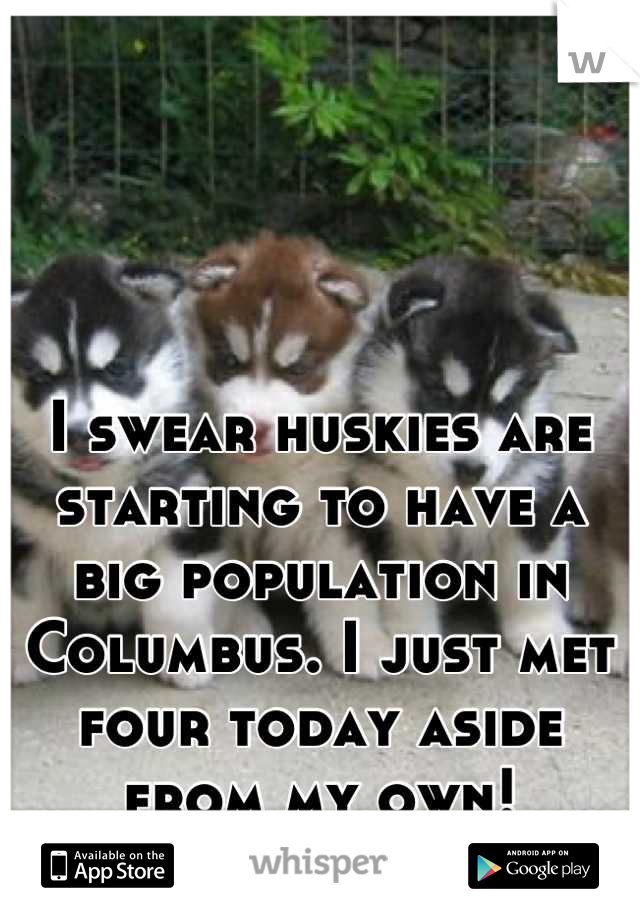 I swear huskies are starting to have a big population in Columbus. I just met four today aside from my own!