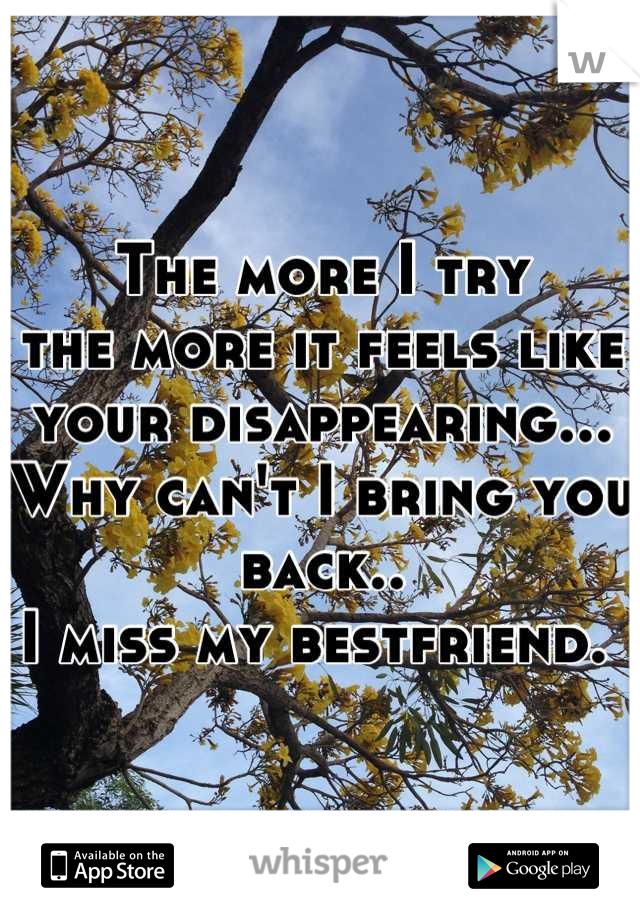 The more I try
the more it feels like your disappearing... Why can't I bring you back.. 
I miss my bestfriend. 