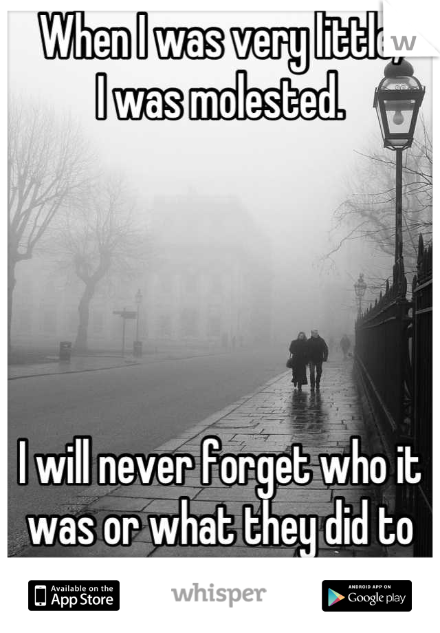 When I was very little,
I was molested.





I will never forget who it 
was or what they did to me