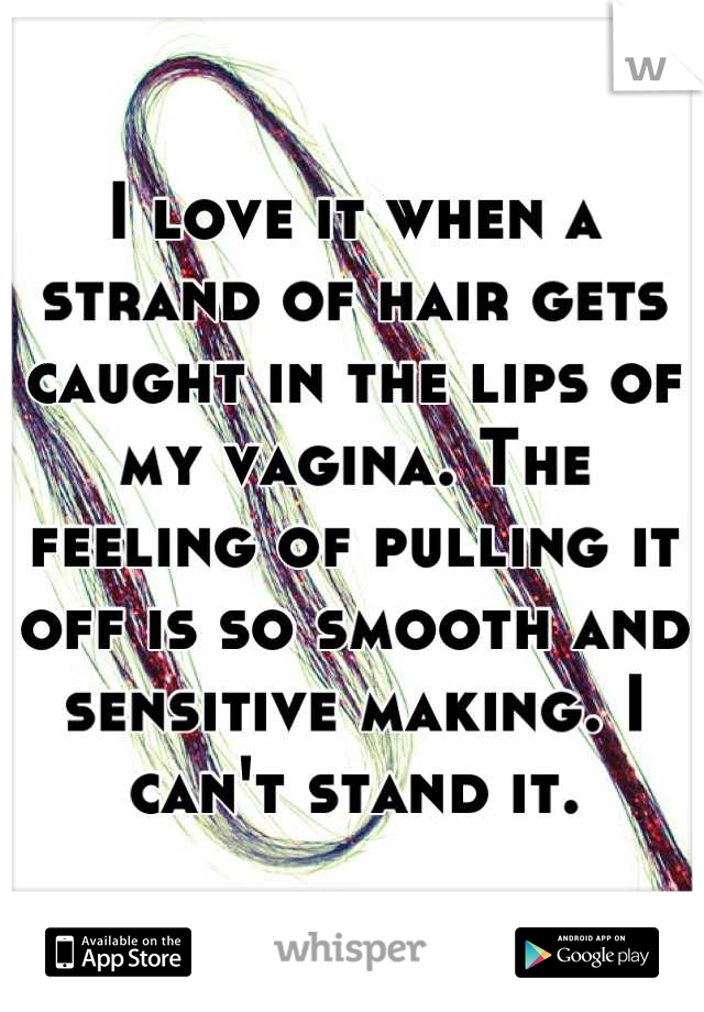 I love it when a strand of hair gets caught in the lips of my vagina. The feeling of pulling it off is so smooth and sensitive making. I can't stand it.
