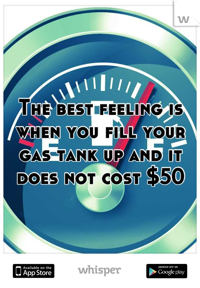 The best feeling is when you fill your gas tank up and it does not cost $50