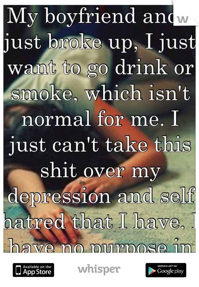 My boyfriend and I just broke up, I just want to go drink or smoke, which isn't normal for me. I just can't take this shit over my depression and self hatred that I have. I have no purpose in life.