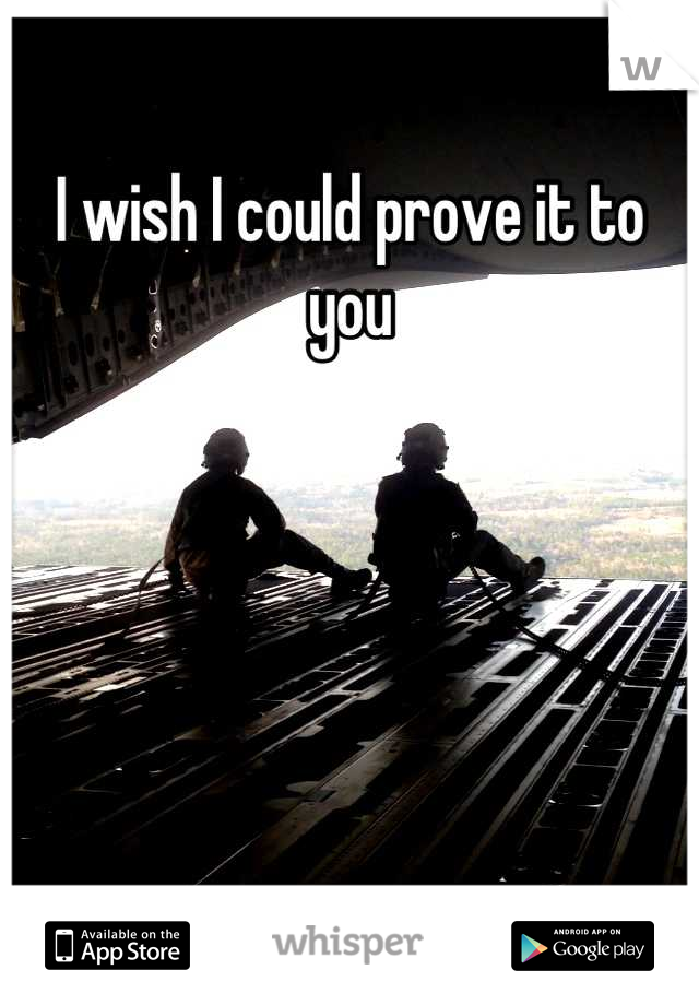 I wish I could prove it to you
