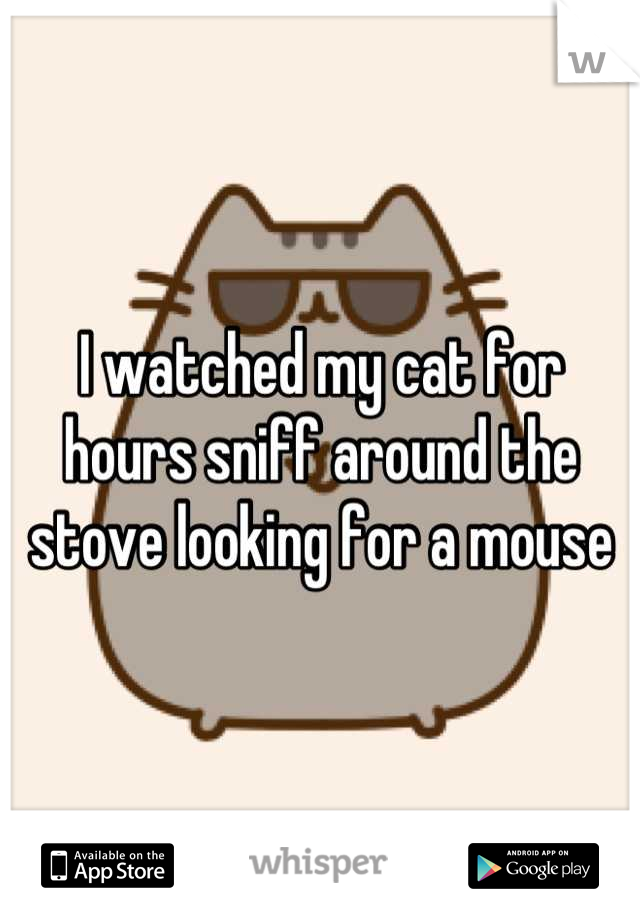 I watched my cat for hours sniff around the stove looking for a mouse