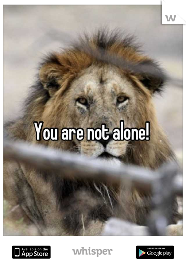 You are not alone! 