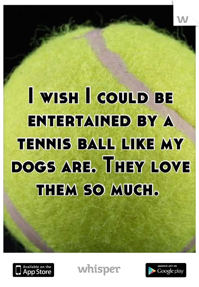 I wish I could be entertained by a tennis ball like my dogs are. They love them so much. 