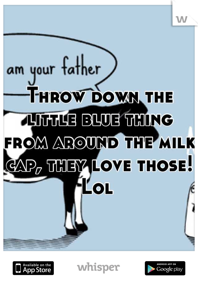 Throw down the little blue thing from around the milk cap, they love those! Lol 