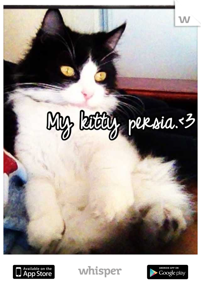 My kitty persia.<3