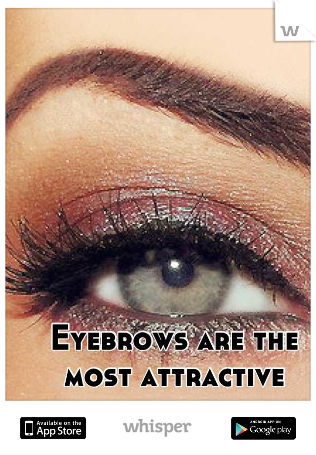 Eyebrows are the most attractive feature to me.