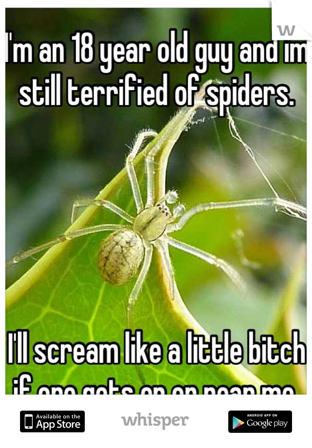 I'm an 18 year old guy and im still terrified of spiders.





I'll scream like a little bitch if one gets on or near me.