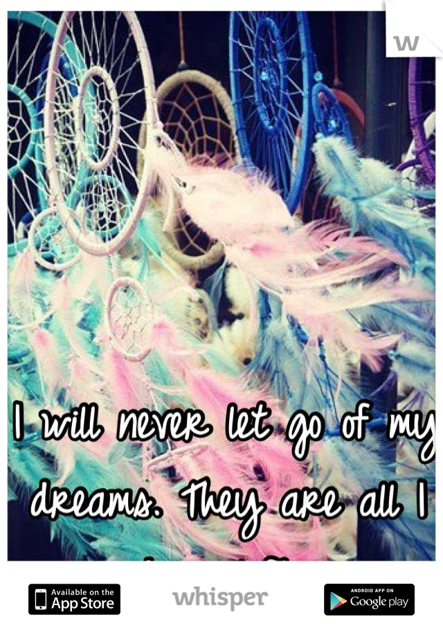 I will never let go of my dreams. They are all I have left 