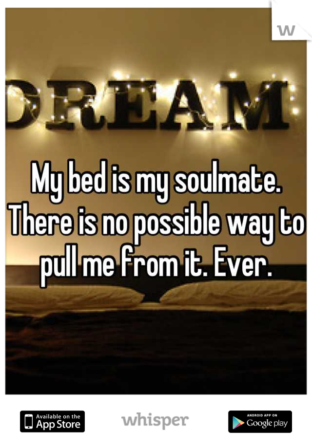 My bed is my soulmate. There is no possible way to pull me from it. Ever.