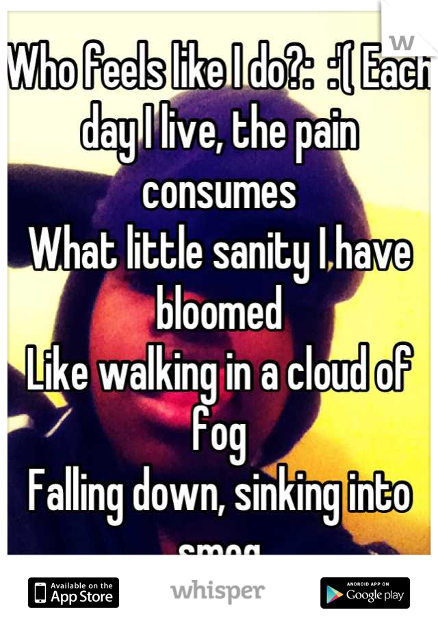 Who feels like I do?:  :'( Each day I live, the pain consumes
What little sanity I have bloomed
Like walking in a cloud of fog
Falling down, sinking into smog