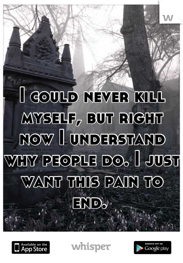 I could never kill myself, but right now I understand why people do. I just want this pain to end. 