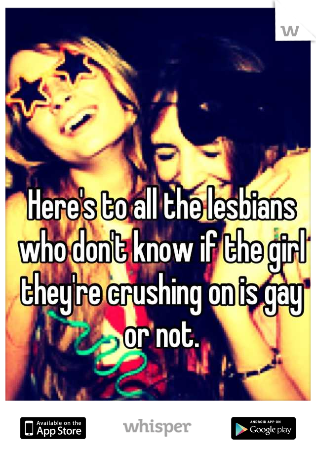 Here's to all the lesbians who don't know if the girl they're crushing on is gay or not.