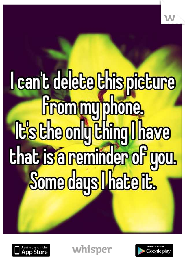 I can't delete this picture from my phone. 
It's the only thing I have that is a reminder of you.
Some days I hate it.