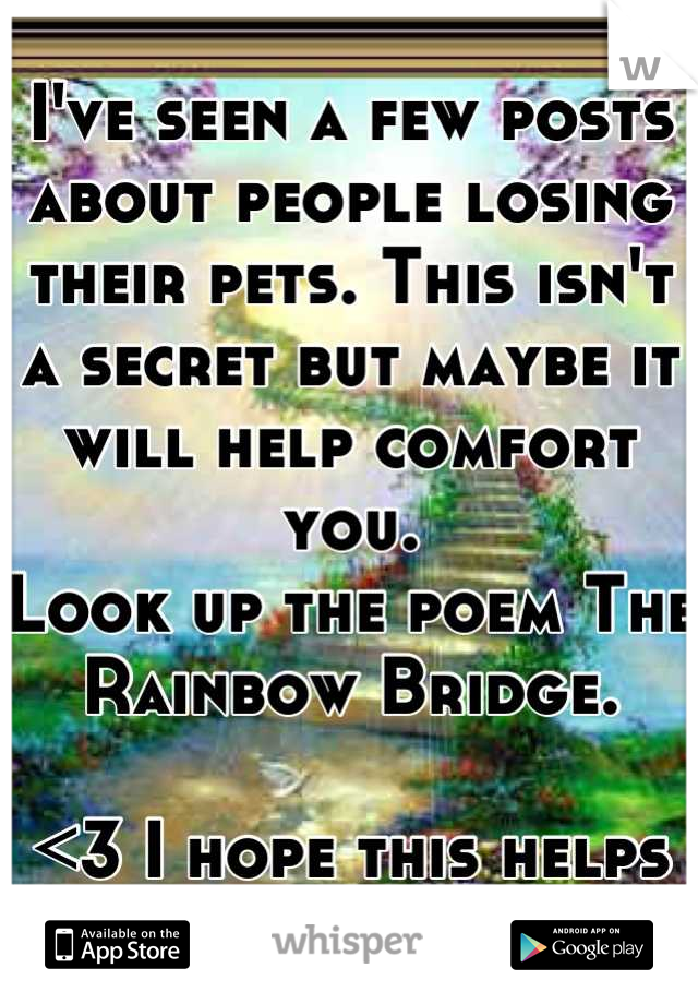 I've seen a few posts about people losing their pets. This isn't a secret but maybe it will help comfort you. 
Look up the poem The Rainbow Bridge. 

<3 I hope this helps you. <3
