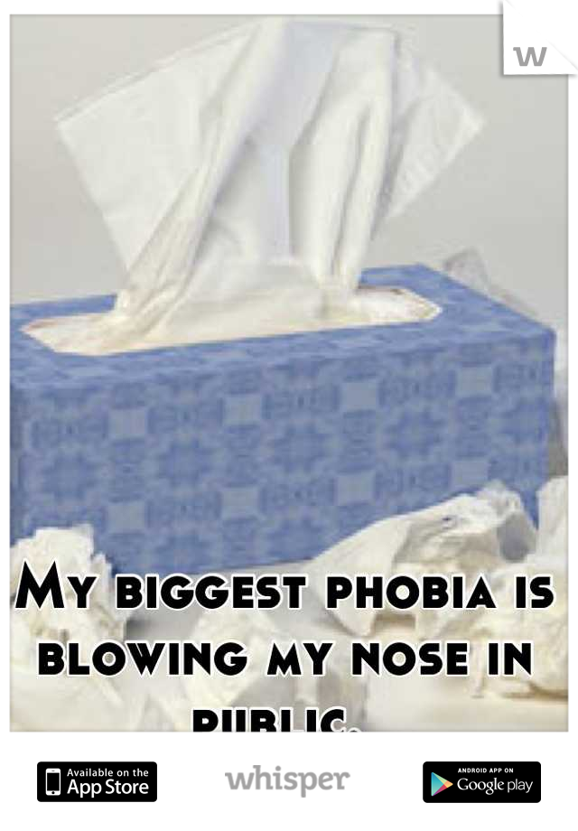 My biggest phobia is blowing my nose in public. 