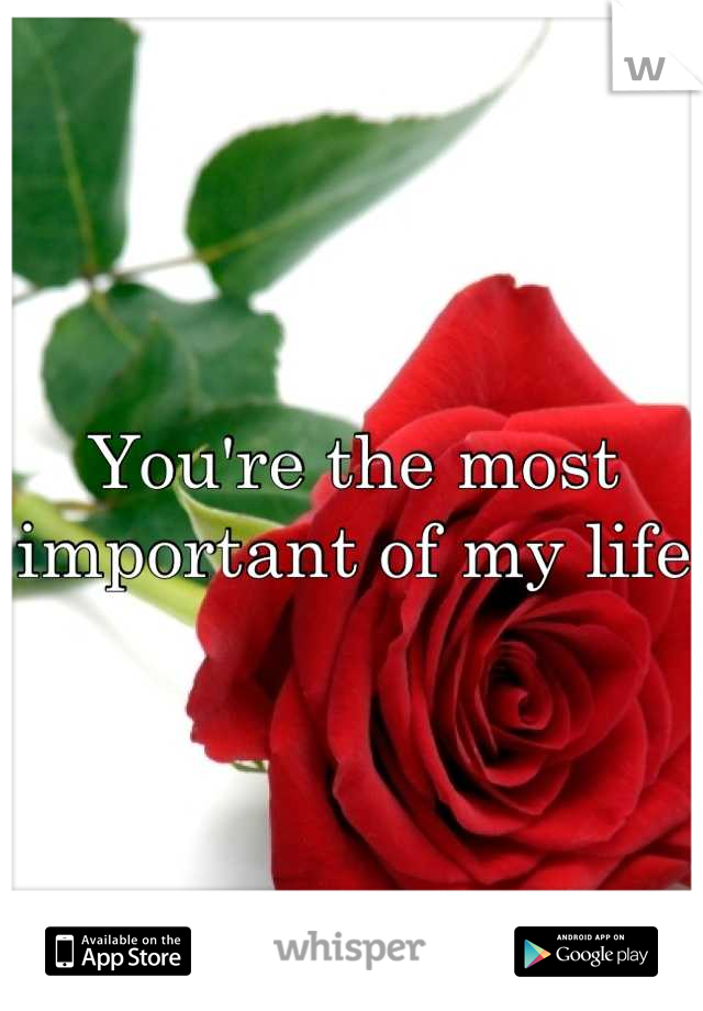 You're the most important of my life