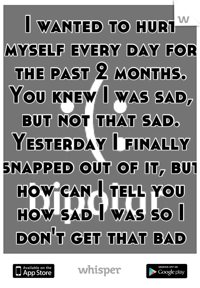 I wanted to hurt myself every day for the past 2 months.
You knew I was sad, but not that sad.
Yesterday I finally snapped out of it, but how can I tell you how sad I was so I don't get that bad again.