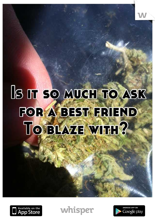 Is it so much to ask for a best friend
To blaze with? 