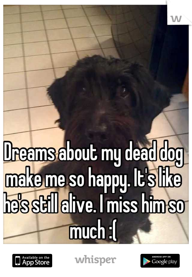 Dreams about my dead dog make me so happy. It's like he's still alive. I miss him so much :(