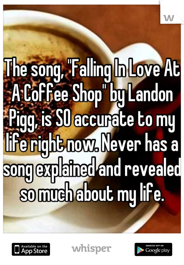 The song, "Falling In Love At A Coffee Shop" by Landon Pigg, is SO accurate to my life right now. Never has a song explained and revealed so much about my life.