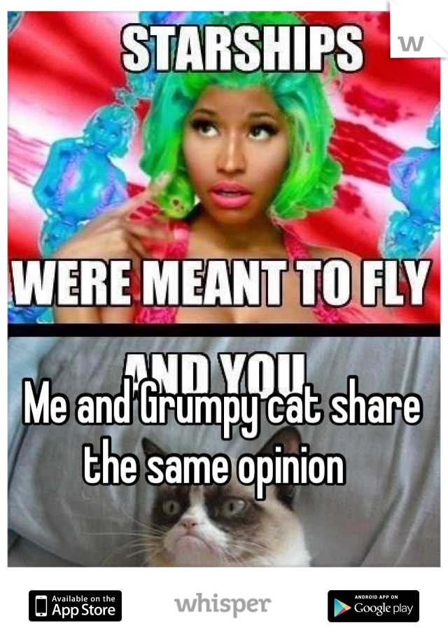 Me and Grumpy cat share the same opinion  