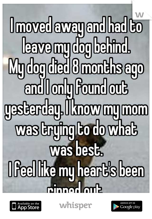 I moved away and had to leave my dog behind.
My dog died 8 months ago and I only found out yesterday. I know my mom was trying to do what was best. 
I feel like my heart's been ripped out 