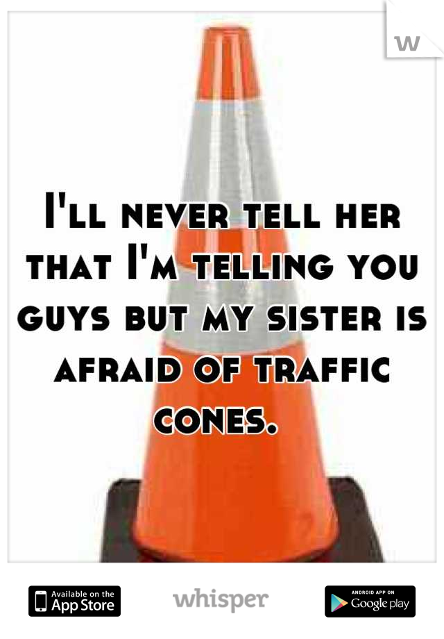 I'll never tell her that I'm telling you guys but my sister is afraid of traffic cones. 