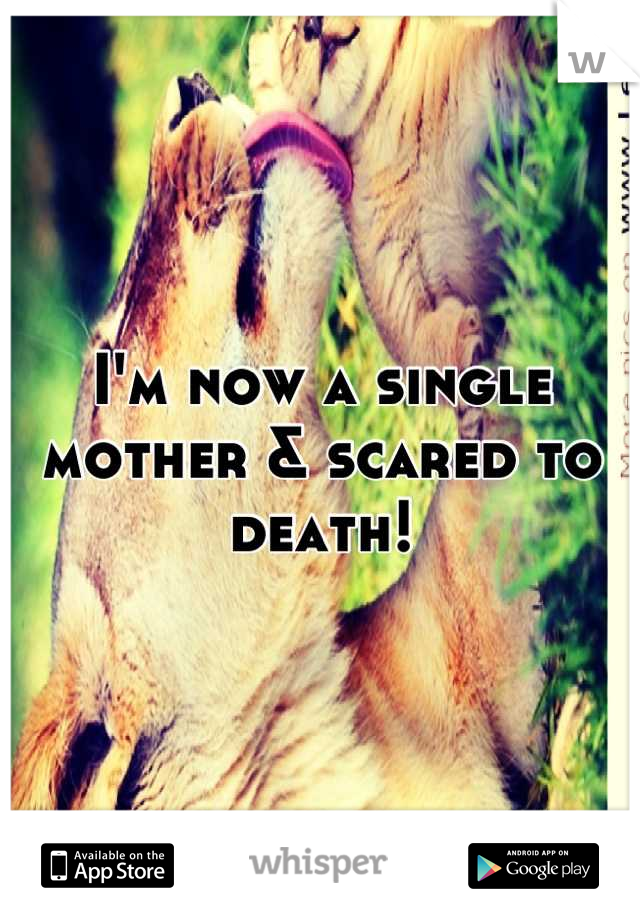 I'm now a single mother & scared to death!