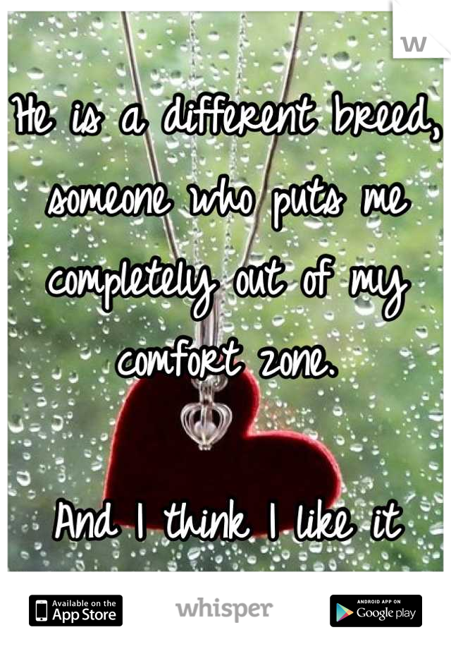 He is a different breed, someone who puts me completely out of my comfort zone. 

And I think I like it