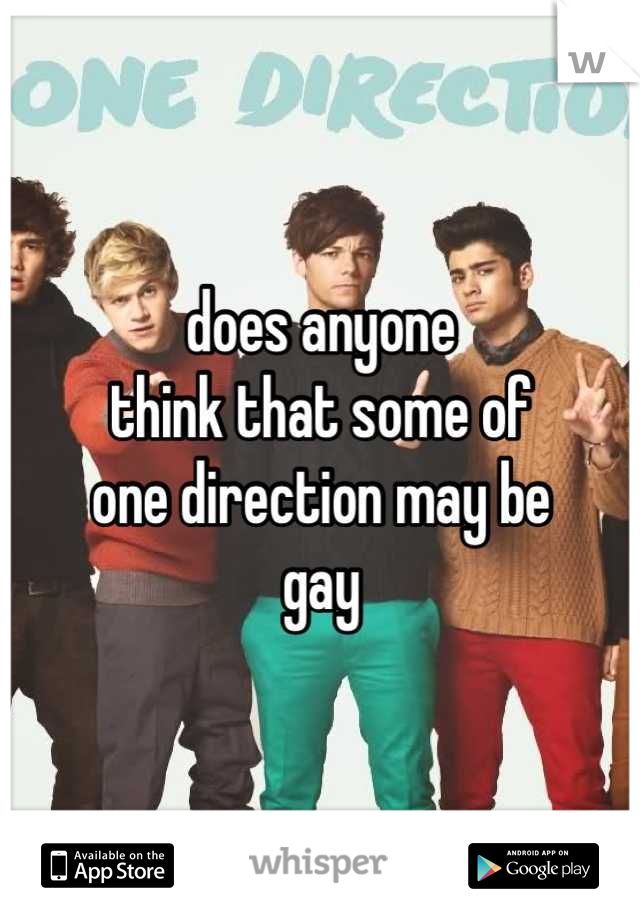 does anyone
think that some of
one direction may be 
gay