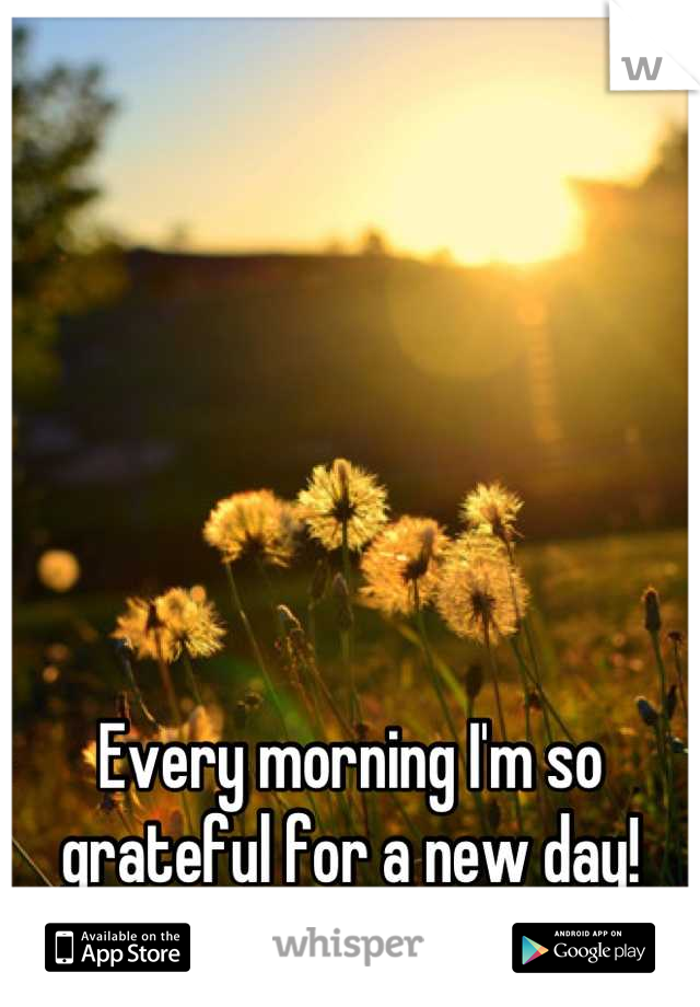 Every morning I'm so grateful for a new day!