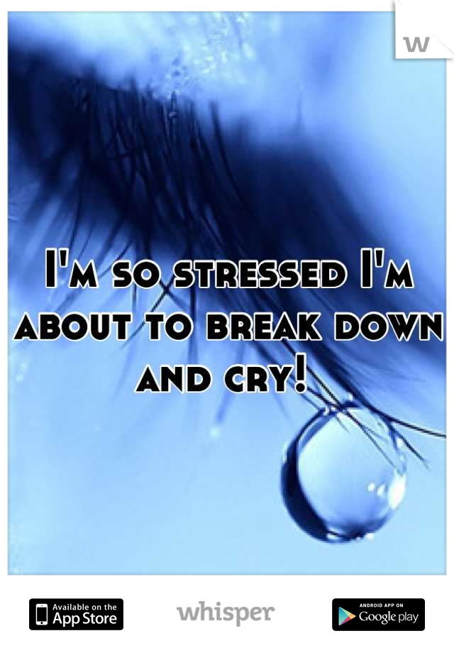 I'm so stressed I'm about to break down and cry! 